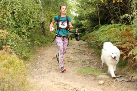 dogtrekking_2022